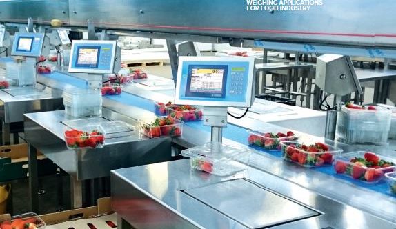 Food Portioning or Take Away Scales